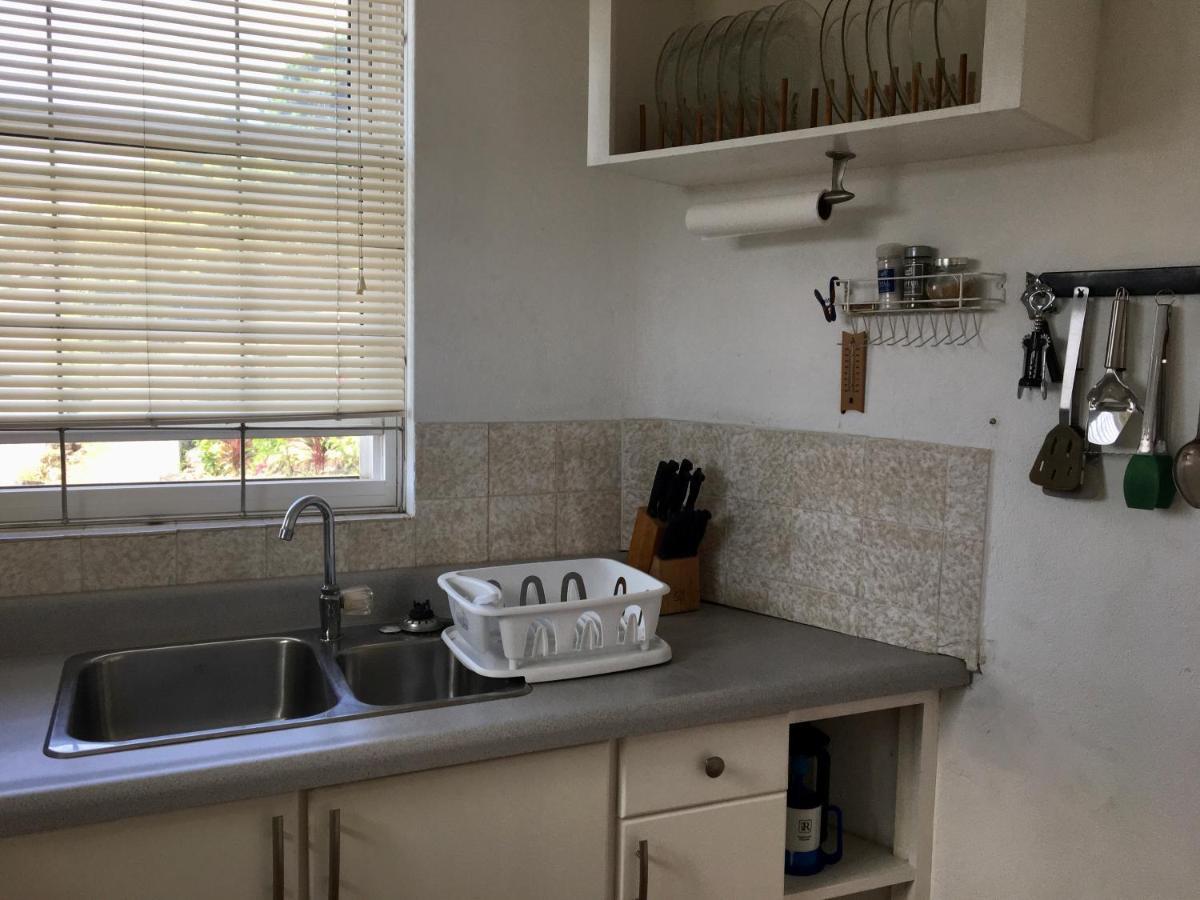Apartamento Carenage View St. George's Exterior foto